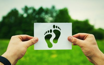 CMYK-G: We’re committed to sustainability